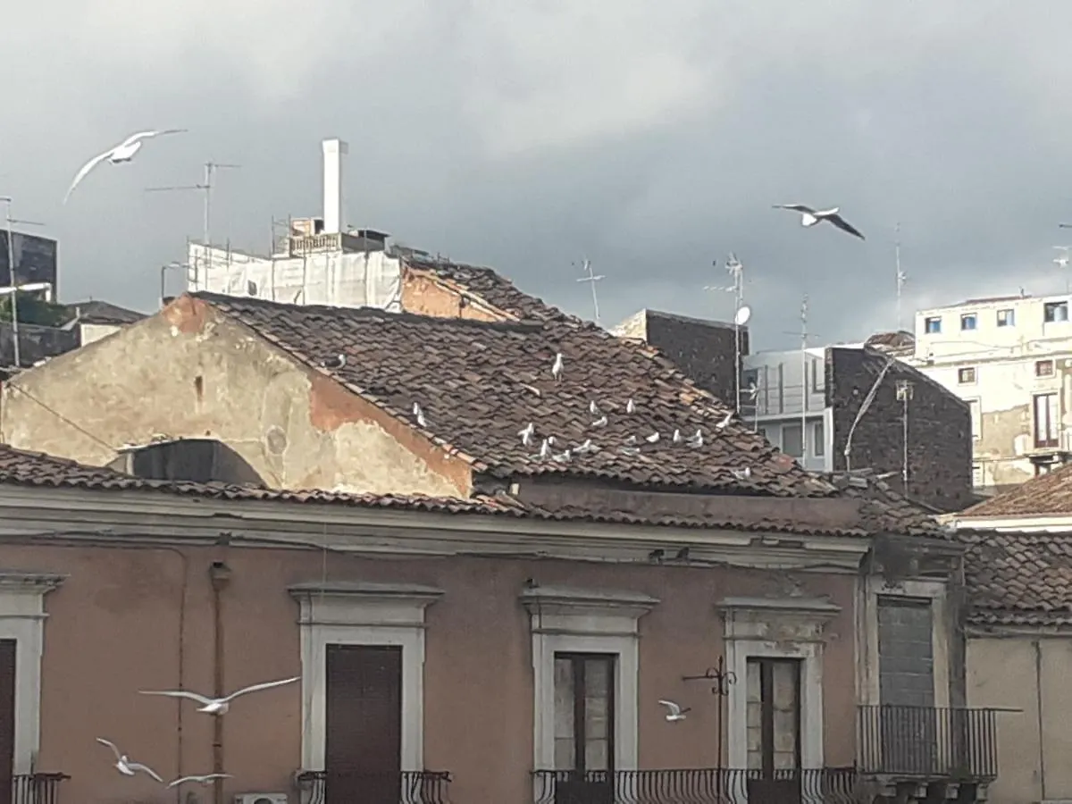 Borgo San Giovanni Rooms Catania Affittacamere
